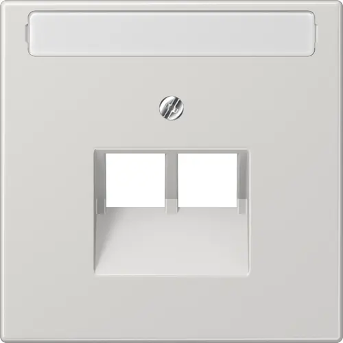 JUNG LS 969-2 NAUA LG centraalplaat 2-voudig met tekstvenster tbv RJ45 wandcontactdoos LS990 lichtgrijs