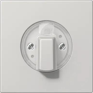 JUNG LS 1941 LG draaiknop tbv jaloezie of draaischakelaar LS990 lichtgrijs