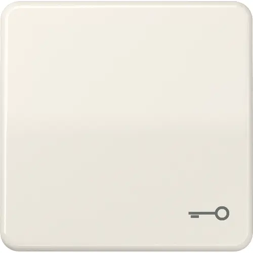 JUNG CD 590 T schakelwip met sleutelsymbool CD500 creme