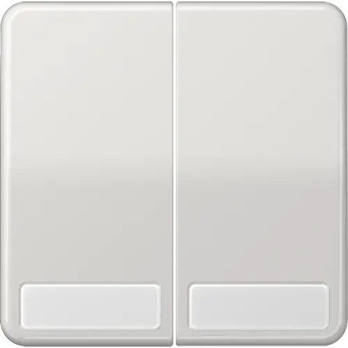 JUNG CD 595 NA LG schakelwip 2-voudig met tekstvenster CD500 lichtgrijs