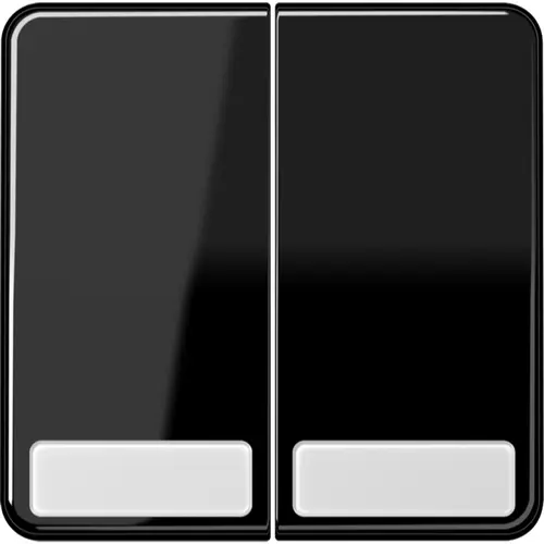 JUNG CD 595 NA SW schakelwip 2-voudig met tekstvenster CD500 zwart glans