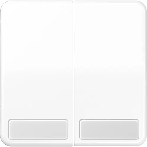 JUNG CD 595 NA WW schakelwip 2-voudig met tekstvenster CD500 alpine wit
