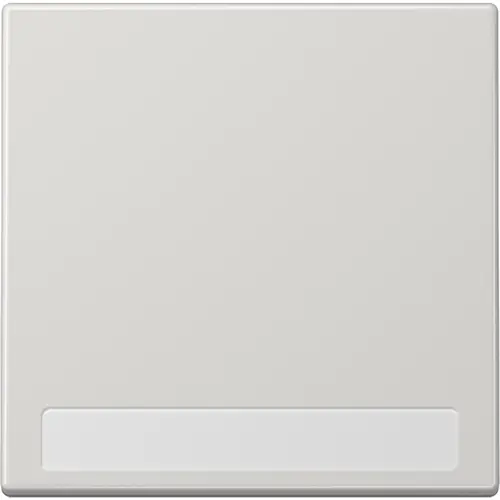 JUNG LS 990 NA LG schakelwip met tekstvenster LS990 lichtgrijs