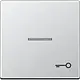 JUNG A 590 KO5 T AL schakelwip met sleutelsymbool en controlevenster A-range aluminium