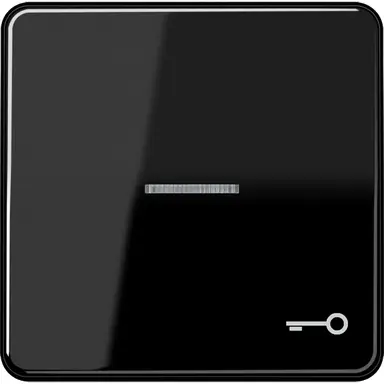 JUNG CD 590 KO5T SW schakelwip met sleutelsymbool en controlevenster CD500 zwart glans
