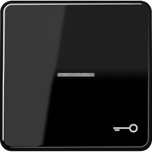 JUNG CD 590 KO5T SW schakelwip met sleutelsymbool en controlevenster CD500 zwart glans