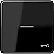 JUNG CD 590 KO5T SW schakelwip met sleutelsymbool en controlevenster CD500 zwart glans