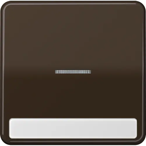JUNG CD 590 NAKO5 BR schakelwip met controlevenster en tekstvenster CD500 bruin