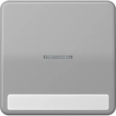 JUNG CD 590 NAKO5 GR schakelwip met controlevenster en tekstvenster CD500 grijs