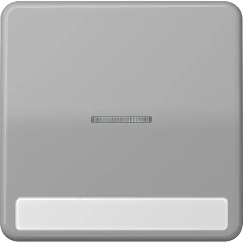 JUNG CD 590 NAKO5 GR schakelwip met controlevenster en tekstvenster CD500 grijs