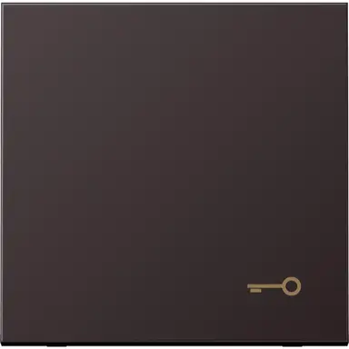 JUNG AL 2990 T D schakelwip met sleutelsymbool LS990 dark gelakt aluminium