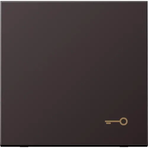 JUNG AL 2990 T D schakelwip met sleutelsymbool LS990 dark gelakt aluminium