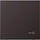 JUNG AL 2990 T D schakelwip met sleutelsymbool LS990 dark gelakt aluminium