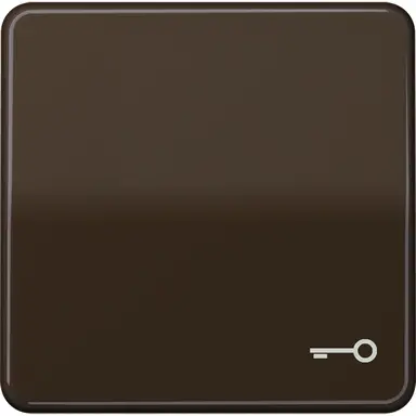 JUNG CD 590 T BR schakelwip met sleutelsymbool CD500 bruin