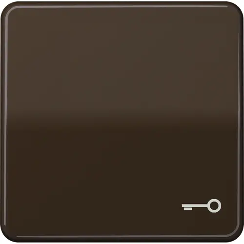 JUNG CD 590 T BR schakelwip met sleutelsymbool CD500 bruin