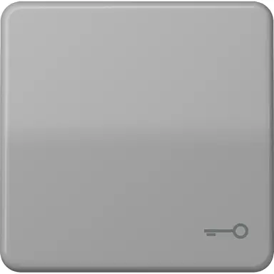 JUNG CD 590 T GR schakelwip met sleutelsymbool CD500 grijs