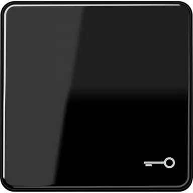 JUNG CD 590 T SW schakelwip met sleutelsymbool CD500 zwart glans