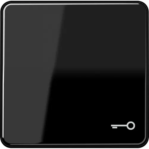 JUNG CD 590 T SW schakelwip met sleutelsymbool CD500 zwart glans