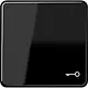 JUNG CD 590 T SW schakelwip met sleutelsymbool CD500 zwart glans