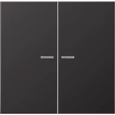 JUNG AL 2995 KO5 D schakelwip 2-voudig met controlevenster LS990 dark gelakt aluminium