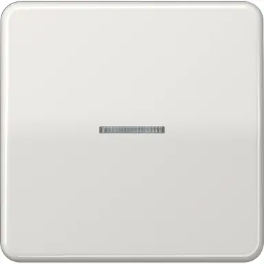 JUNG CD 590 KO5 LG schakelwip met controlevenster CD500 lichtgrijs
