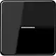 JUNG CD 590 KO5 SW schakelwip met controlevenster CD500 zwart glans