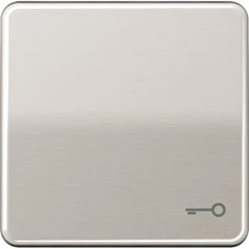 JUNG CD 590 T PT schakelwip met sleutelsymbool CD500 platina