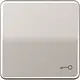 JUNG CD 590 T PT schakelwip met sleutelsymbool CD500 platina