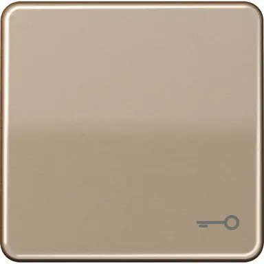 JUNG CD 590 T GB schakelwip met sleutelsymbool CD500 goud brons