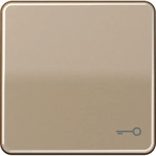 JUNG CD 590 T GB schakelwip met sleutelsymbool CD500 goud brons