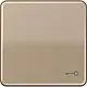 JUNG CD 590 T GB schakelwip met sleutelsymbool CD500 goud brons