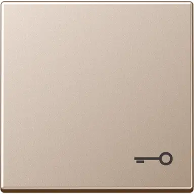 JUNG A 590 T CH schakelwip met sleutelsymbool A-range champagne