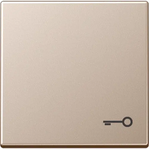 JUNG A 590 T CH schakelwip met sleutelsymbool A-range champagne