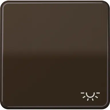 JUNG CD 590 L BR schakelwip met lichtsymbool CD500 bruin