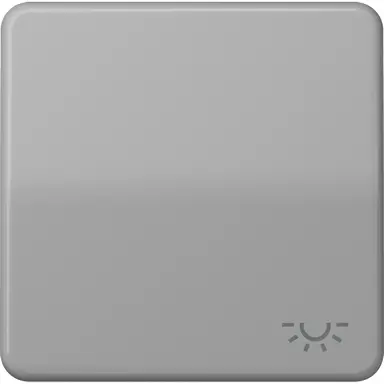 JUNG CD 590 L GR schakelwip met lichtsymbool CD500 grijs