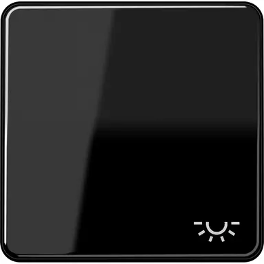 JUNG CD 590 L SW schakelwip met lichtsymbool CD500 zwart glans