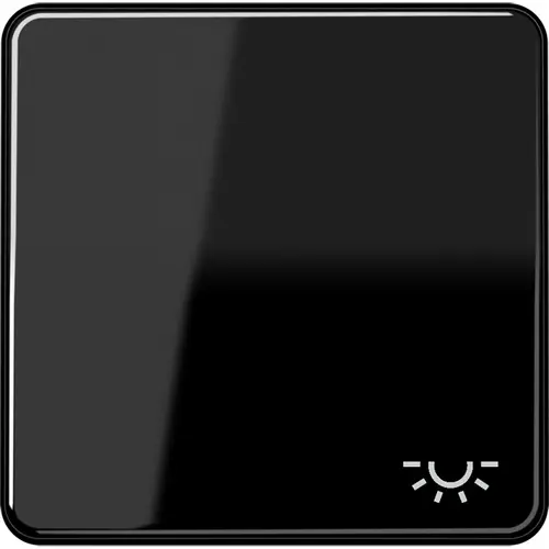 JUNG CD 590 L SW schakelwip met lichtsymbool CD500 zwart glans