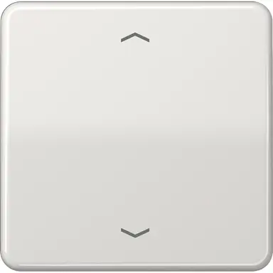 JUNG CD 590 P LG schakelwip met pijlsymbolen CD500 lichtgrijs