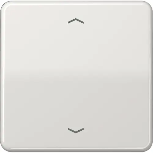 JUNG CD 590 P LG schakelwip met pijlsymbolen CD500 lichtgrijs