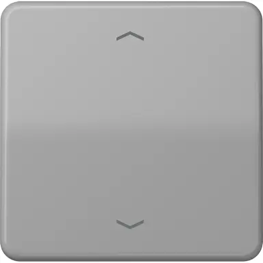 JUNG CD 590 P GR schakelwip met pijlsymbolen CD500 grijs
