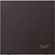 JUNG AL 2990 L D schakelwip met lichtsymbool LS990 dark gelakt aluminium