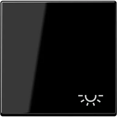 JUNG A 590 L SW schakelwip met lichtsymbool A-range zwart glans