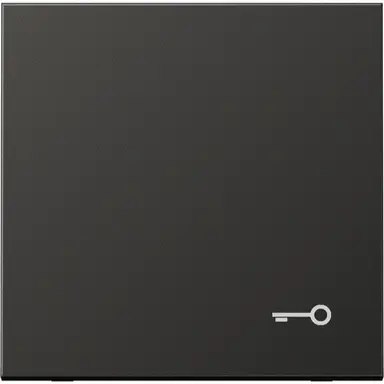 JUNG AL 2990 T AN schakelwip met sleutelsymbool LS990 antraciet gelakt aluminium