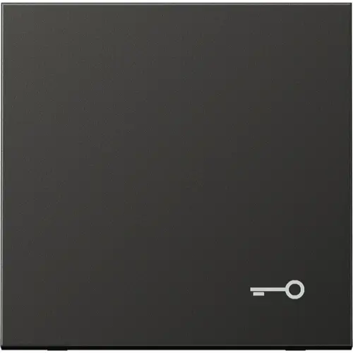 JUNG AL 2990 T AN schakelwip met sleutelsymbool LS990 antraciet gelakt aluminium
