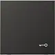 JUNG AL 2990 T AN schakelwip met sleutelsymbool LS990 antraciet gelakt aluminium