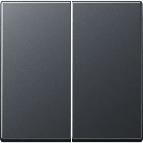 JUNG A 595 BF ANM schakelwip 2-voudig A-range antraciet mat