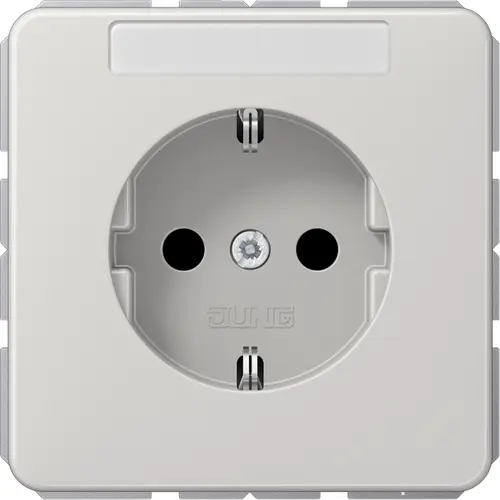 JUNG CD 1520 NNA LG wandcontactdoos randaarde tekstvenster CD500 lichtgrijs