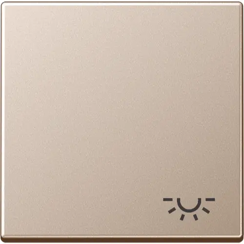 JUNG A 590 L CH schakelwip met lichtsymbool A-range champagne