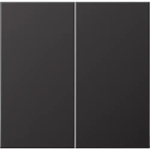 JUNG AL 2995 D schakelwip 2-voudig LS990 dark gelakt aluminium