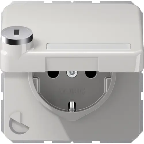 JUNG CD 1520 NNAKLSL LG wandcontactdoos randaarde Safety+ klapdeksel tekstvenster slot CD500 lichtgrijs